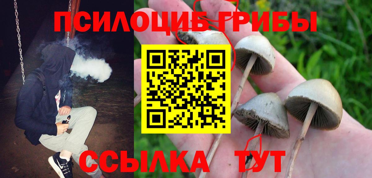 Псилоцибиновые грибы мицелий  Галлюциногенные грибы Cubensis  Вход с VPN  Лесозаводск 